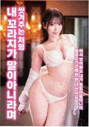 光之翼 动漫 2026